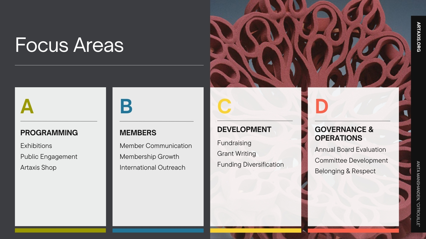 Artaxis Strategic Plan, page 5