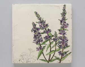 Endangered/Invasive (Floating Marigold & Purple Loosestrife)"