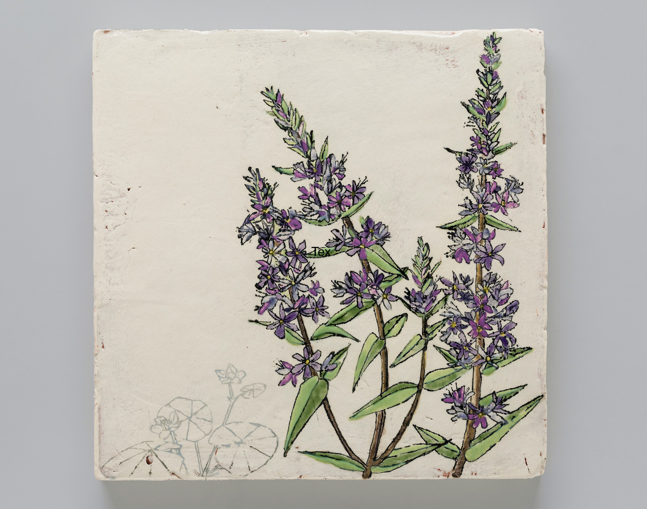 Endangered/Invasive (Floating Marigold & Purple Loosestrife)"