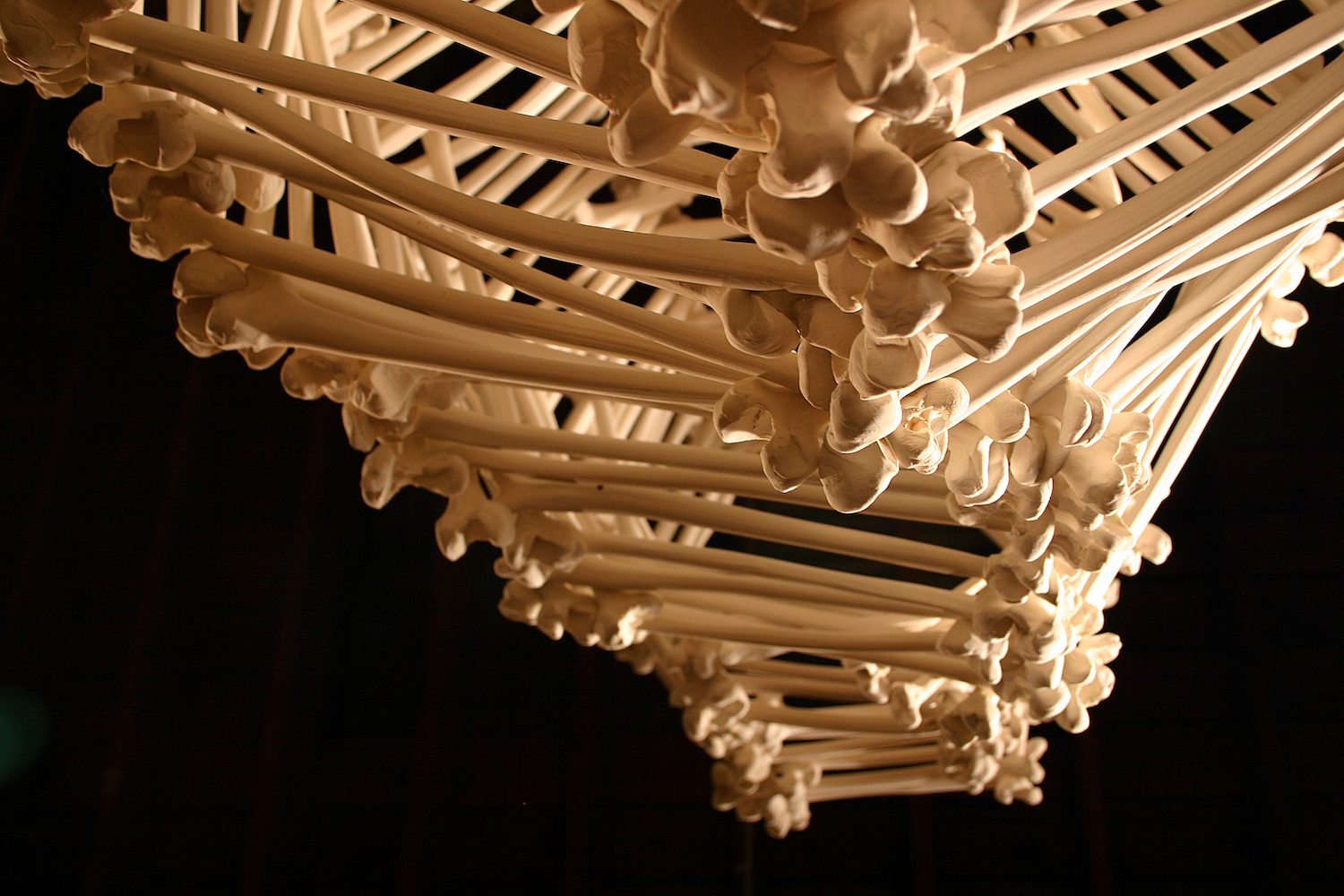 stack of porcelain bones